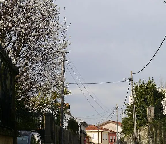 Boavista Daire Vila Nova de Gaia